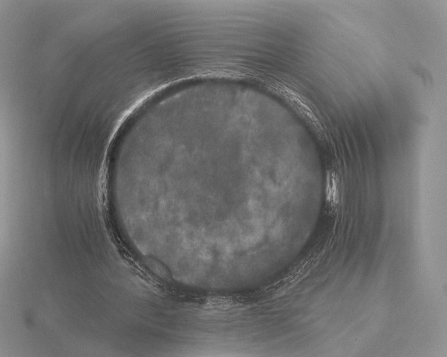 X0000115660388200912101056