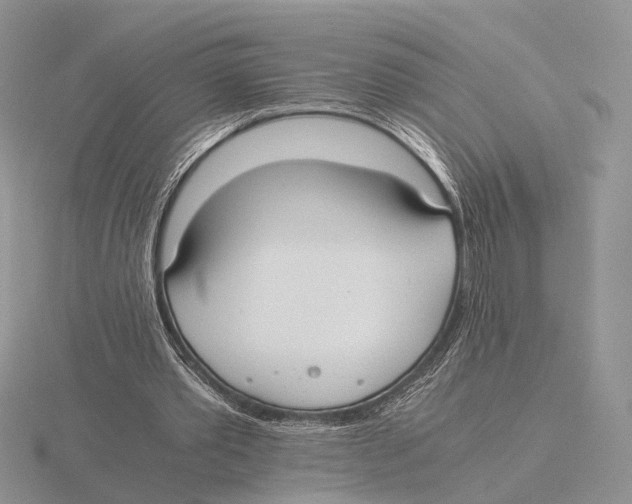 X0000115660389200912101056