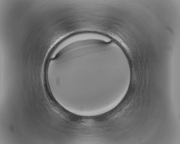 X0000115660391200912101056