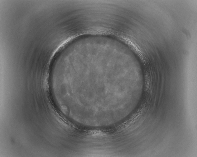 X0000115660392200912101056