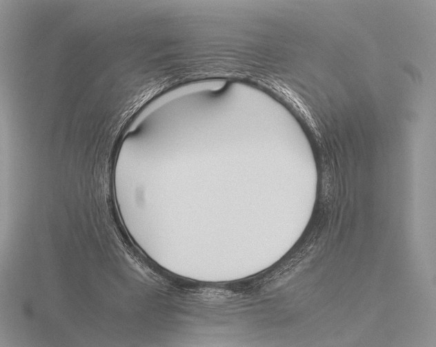 X0000115660393200912101056