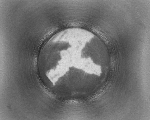 X0000115660394200912101056