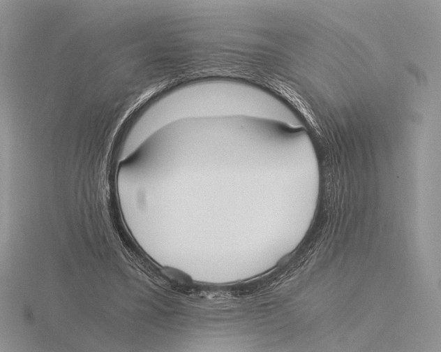 X0000115660395200912101056