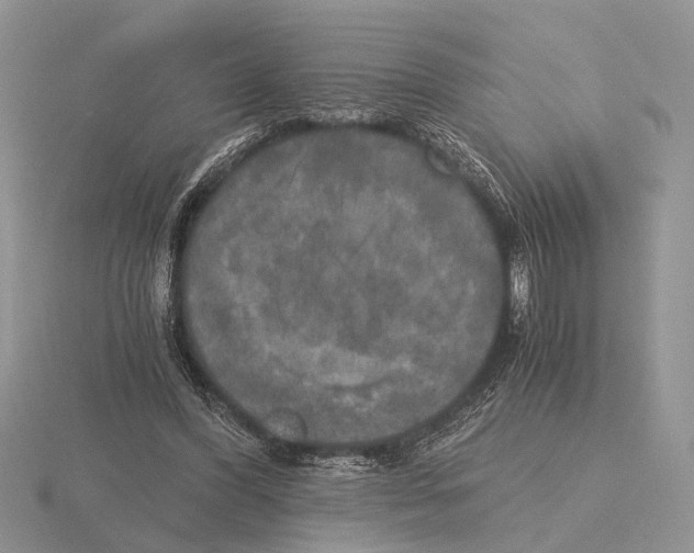 X0000115660396200912101056