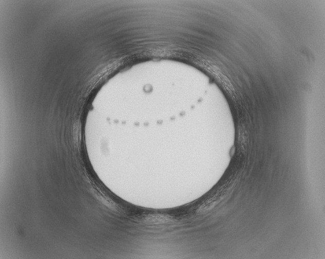 X0000115660397200912101056