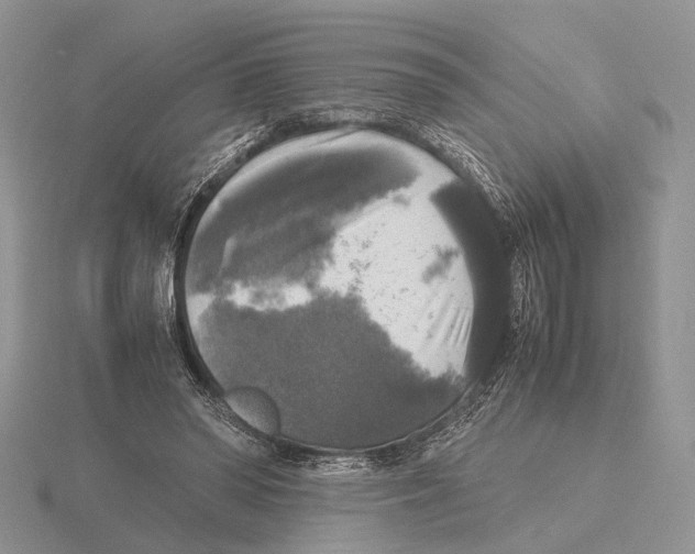 X0000115660398200912101056