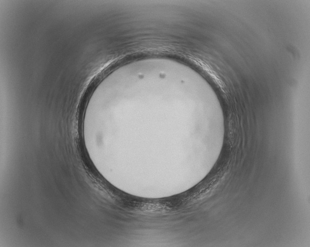 X0000115660399200912101056