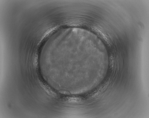 X0000115660400200912101056