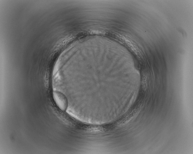 X0000115660402200912101056