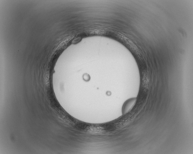 X0000115660403200912101056