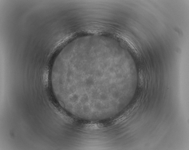 X0000115660404200912101056