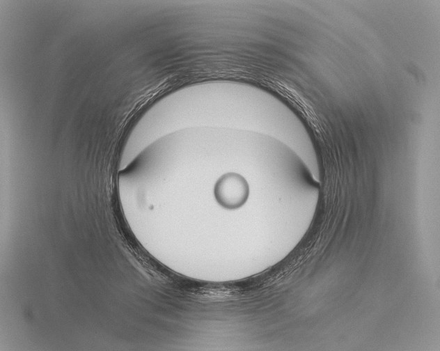 X0000115660405200912101056