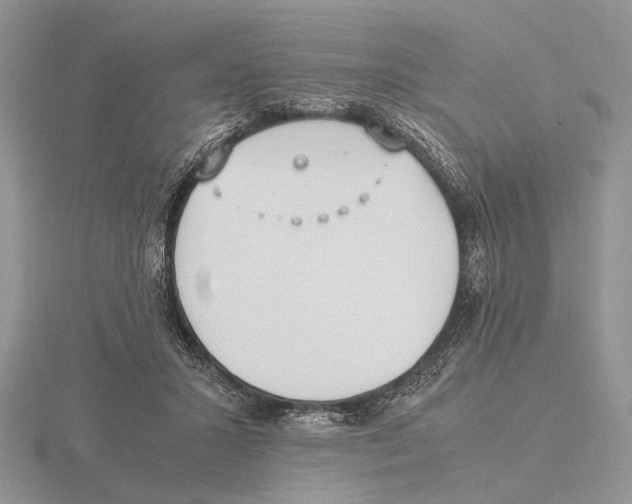 X0000115660407200912101056