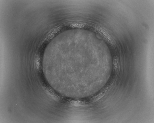 X0000115660408200912101055