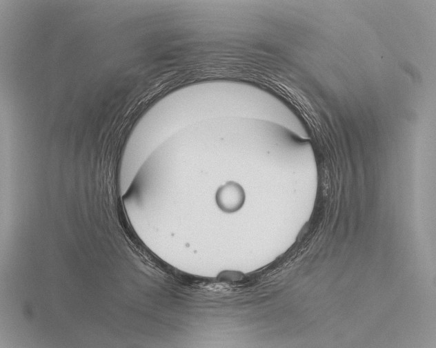 X0000115660409200912101055