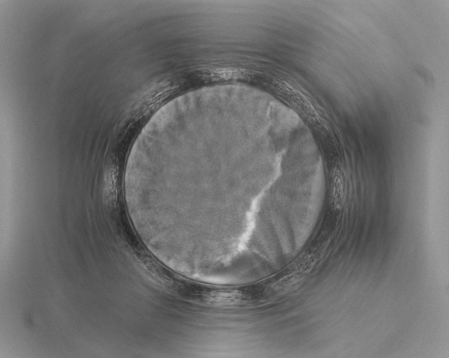 X0000115660410200912101055