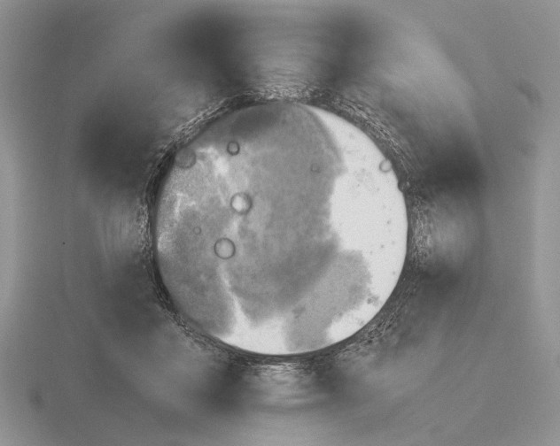 X0000115660411200912101055