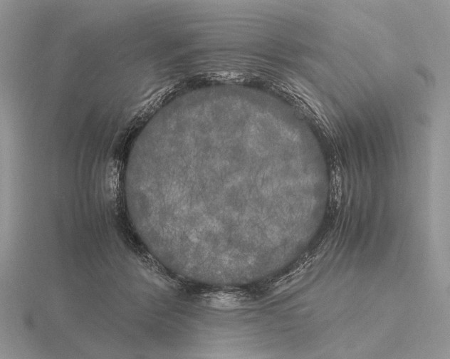 X0000115660412200912101055