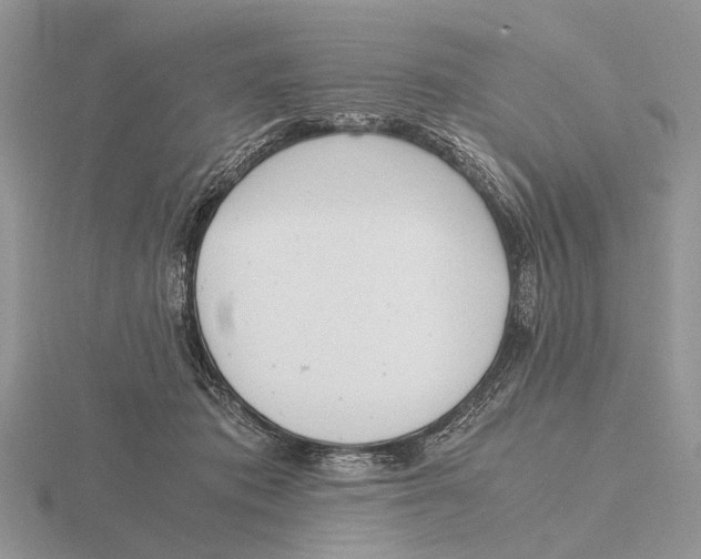 X0000115660413200912101055