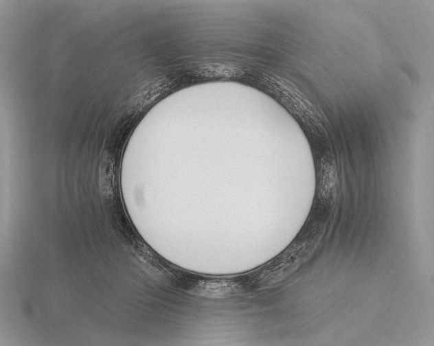 X0000115660414200912101055