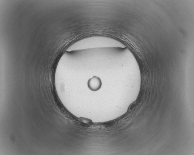 X0000115660415200912101055