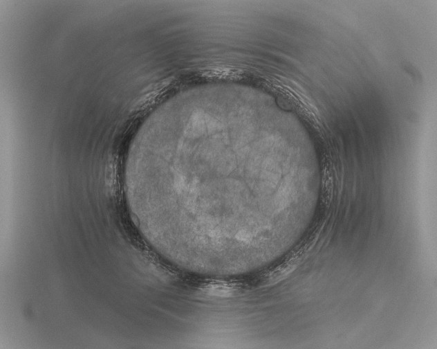 X0000115660416200912101055