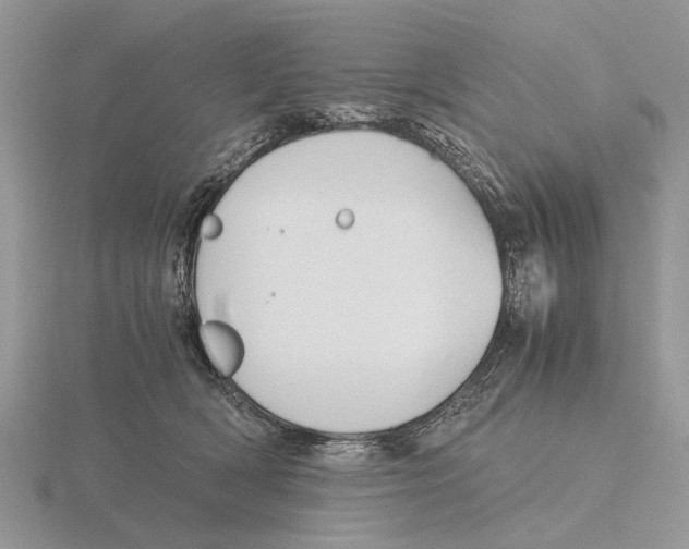 X0000115660418200912101055