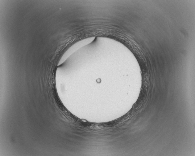 X0000115660419200912101055