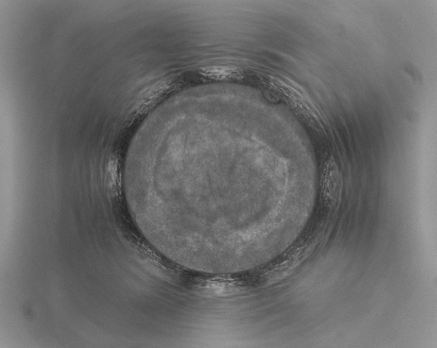 X0000115660420200912101055