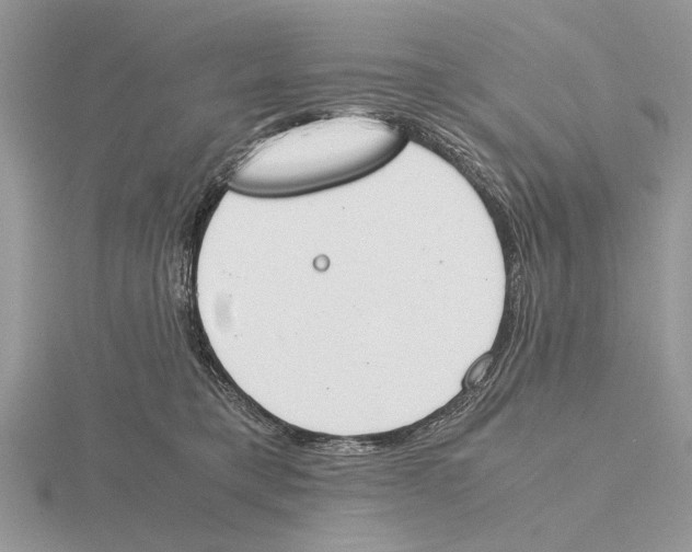 X0000115660421200912101055