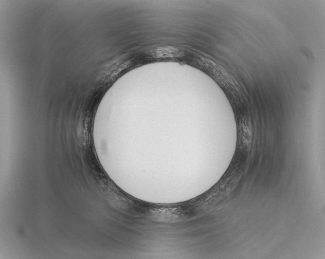 X0000115660422200912101055