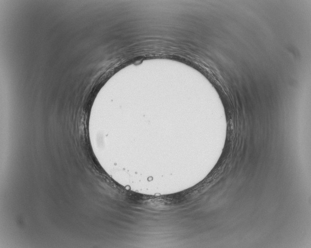 X0000115660423200912101055