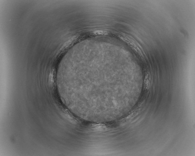 X0000115660424200912101055