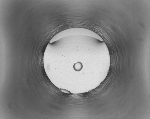 X0000115660425200912101055