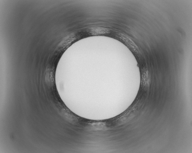 X0000115660426200912101055