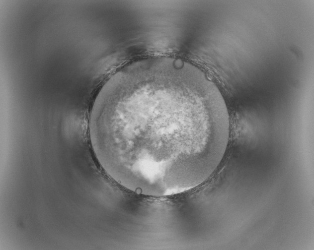 X0000115660427200912101055