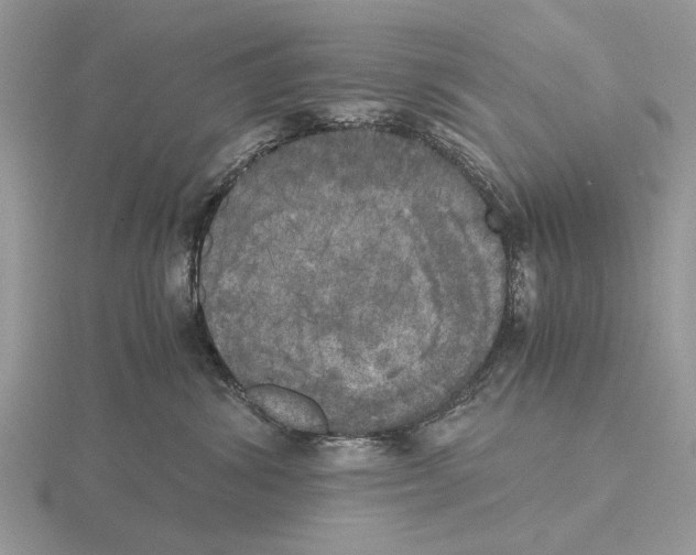 X0000115660428200912101055