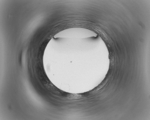 X0000115660429200912101055