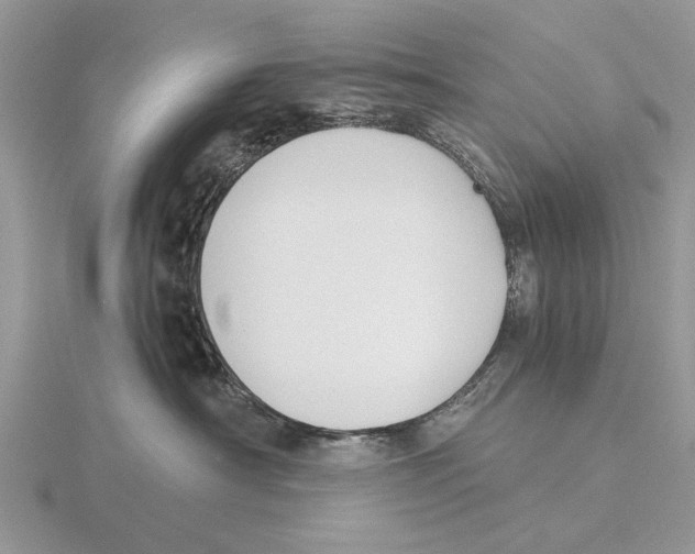 X0000115660430200912101055