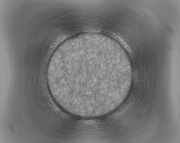 X0000115660433200912101055