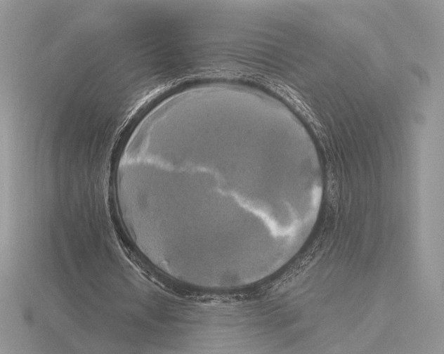 X0000115660434200912101055