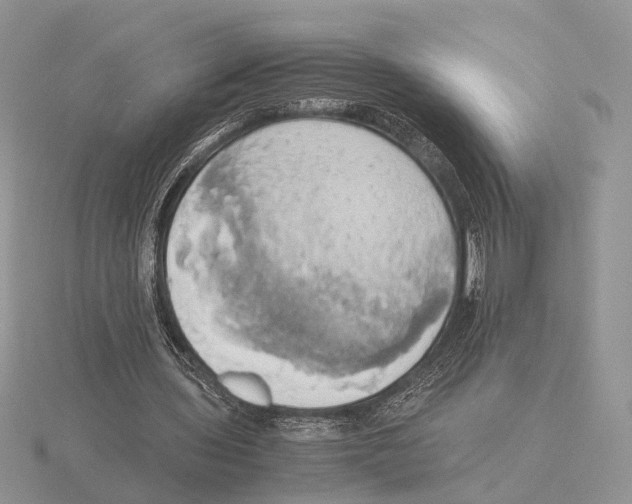 X0000115660435200912101055