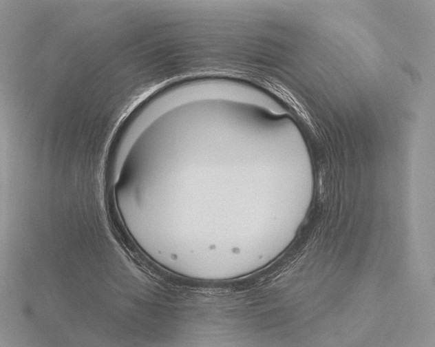 X0000115660436200912101055