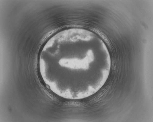 X0000115660437200912101055