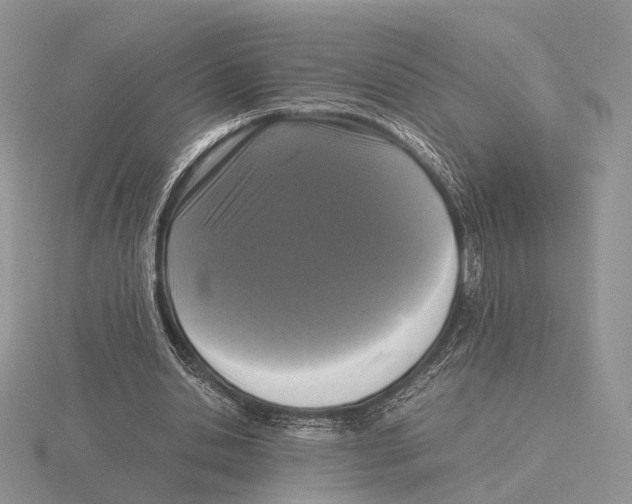 X0000115660438200912101055