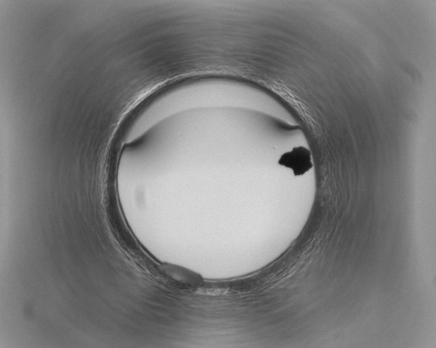 X0000115660440200912101055