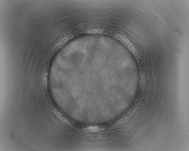 X0000115660441200912101055