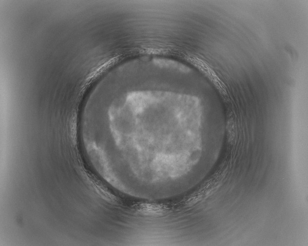 X0000115660442200912101055