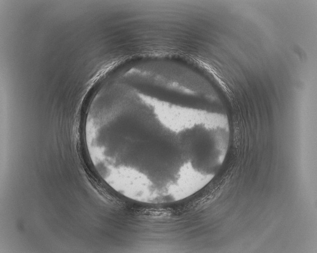 X0000115660443200912101055