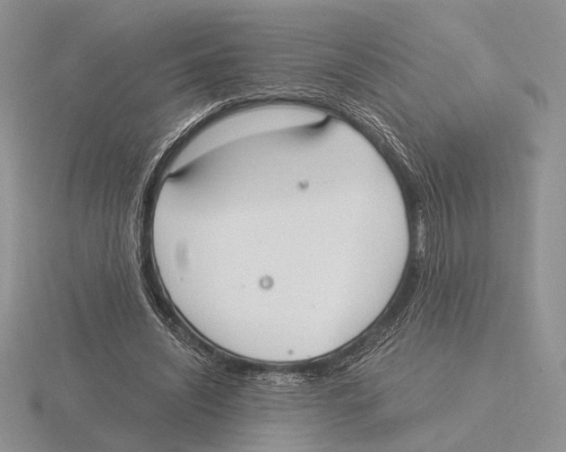 X0000115660444200912101055